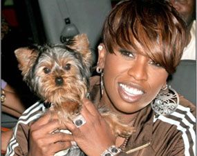 missy-elliot-es-poncho.jpg