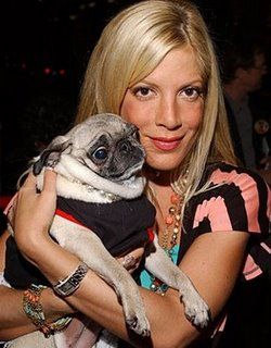 tori-spelling-es-imadott-kutyaja-mimi-larue.jpg